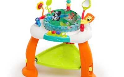 Bright Starts Bounce Bounce Baby