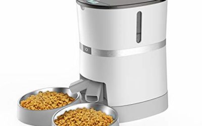 WellToBe Automatic Cat Feeder, Pet Feeder Food Dispenser for Cat & Small Dog with Two-Way Splitter and Double Bowls, up to 6 Meals with Portion Control, Voice Recorder – Battery and Plug-in Power