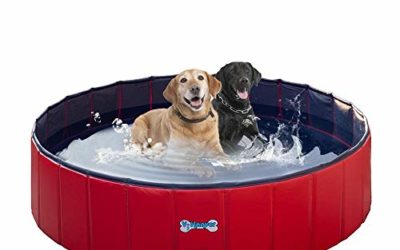 V-HANVER Foldable Dog Pool Collapsible Heavy Duty PVC Pet Pool Bath Tub for XLarge Dogs and Puppies, 63 X 12 inch, XL