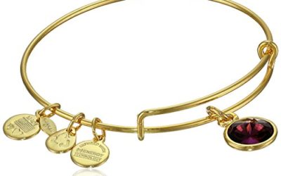 Alex and Ani "Bangle Bar" February Imitation Birthstone Gold-Tone Expandable Bracelet