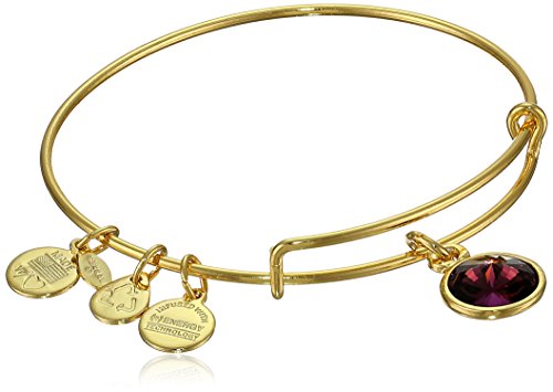 Alex and Ani "Bangle Bar" February Imitation Birthstone Gold-Tone Expandable Bracelet