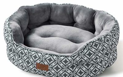 Bedsure 20 inch Small Dog Bed & Cat Bed, Round Pet Beds for Indoor Cats or Small Dogs, Round Machine Washable Super Soft & Plush Flannel Pet Supplies, Slip-Resistant Oxford Bottom,Coin Print Grey…