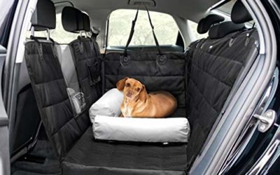 Barkbox 2-in-1 Car Seat Cover/Pillow Set for Dogs | Hammock & Bed, Durable, Waterproof, Non-Slip Pet Accessory | Standard Size for Back Seat of Cars, Trucks & SUVs | Includes Seat Belt & Storage Case