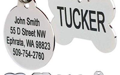 GoTags Stainless Steel Pet ID Tags, Personalized Dog Tags and Cat Tags, up to 8 Lines of Custom Text, Engraved on Both Sides, in Bone, Round, Heart, Bow Tie, Flower, Star and More (Dog Bone, Regular)