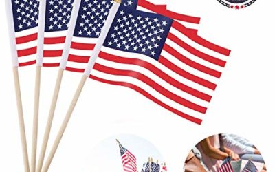 TEVAN Small American Flags-10 Pack,4X6 Inch American Small Flag Mini National Flag American Hand Held Stick Flags,for 4th of July Decorations, Patriotic Decorations, Party Decorations and Parades (10)