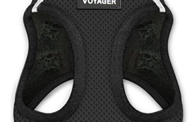 Voyager Step-in Air Dog Harness – All Weather Mesh, Step in Vest Harness for Small and Medium Dogs by Best Pet Supplies