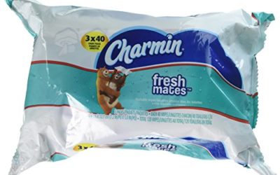 Charmin Freshmates Flushable Wipes Triple Pack Refills, 120 Count