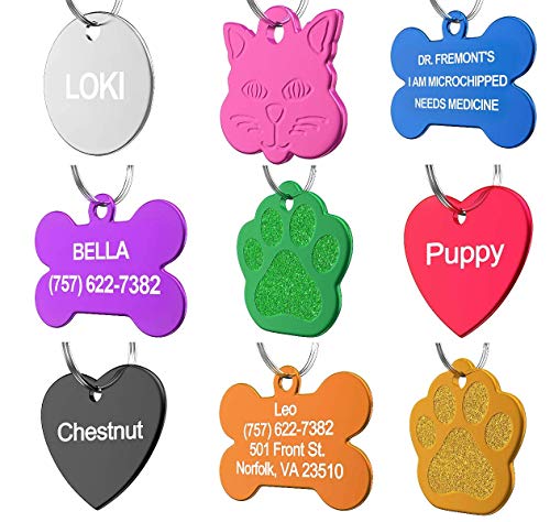 Dr. Fremont's Pet ID Tag Custom for Dog Cat Personalized | Many Shapes and Colors to Choose from | Made in USA | Strong Anodized Aluminum (Circle Silver, Large)
