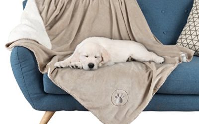 Waterproof Pet Blanket-50”x60” Soft Plush Throw Protects Couch, Chairs, Car, or Bed from Spills, Stains, or Pet Fur-Machine Washable by Petmaker (Tan)