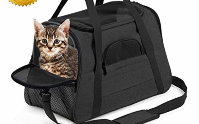 Pet Carrier Airline Approved Pet Carrier Puppy Dog Carriers for Small Dogs, Cat Carriers for Medium Cats Small Cats, Small Pet Carrier Small Dog Carrier Airline Approved Cat Travel Carrier-ALL Black