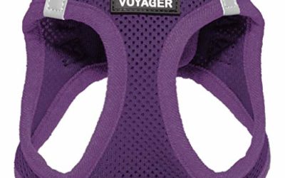 Voyager Step-in Air Dog Harness – All Weather Mesh, Step in Vest Harness for Small and Medium Dogs by Best Pet Supplies – Purple (Matching Trim), S (Chest: 14.5-17")
