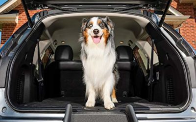 PetSafe Happy Ride Folding Pet Ramp, 62 in, Portable Lightweight Dog and Cat Ramp, Great for Cars, Trucks and SUVs