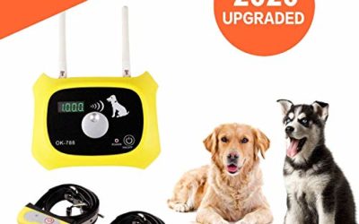 JUSTPET Wireless Dog Fence Electric Pet Containment System, Consistent Signal No Randomly Correction Dog Boundary Container, Waterproof Rechargeable Collar Receiver (Yellow)