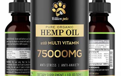 Billion Pets – Hemp Oil for Dogs Cats – Separation Anxiety, Joint Pain, Stress Relief, Arthritis, Seizures, Chronic Pains, Anti-Inflammatory – Omega 3, 6, 9-100% Organic – Calming Drops