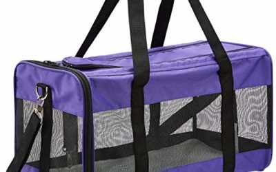 AmazonBasics Soft-Sided Pet Travel Carrier – Purple, Extra Large