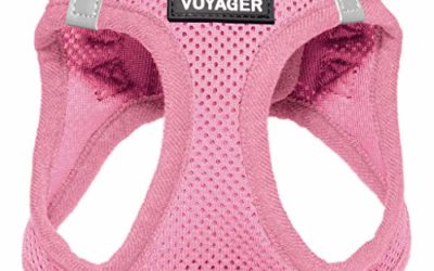 Voyager Step-in Air Dog Harness – All Weather Mesh, Step in Vest Harness for Small and Medium Dogs by Best Pet Supplies – Pink (Matching Trim), S (Chest: 14.5-17") (207T-PKW-S)