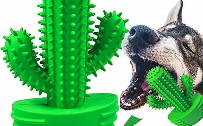 Pamlulu Dog Chew Toothbrush Teeth Cleaning Toys Puppy Brushing Stick Dental Oral Care for Pet