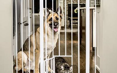 Carlson Extra Tall Walk Through Pet Gate with Small Pet Door, Includes 4-Inch Extension Kit, 4 Pack Pressure Mount Kit and 4 Pack Wall Mount Kit
