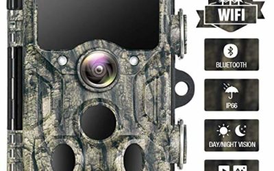 Campark WiFi Bluetooth Trail Camera 20MP 1296P Game Hunting Camera with 940nm IR LEDs No Glow Night Vision Motion Activated Waterproof IP66 for Monitoring Outdoor Wildlife Animal