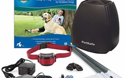 PetSafe Stay & Play Wireless Fence for Stubborn Dogs – Above Ground Electric Pet Fence – from the Parent Company of Invisible Fence Brand