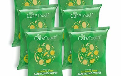 Care Touch Alcohol-Free Hand Sanitizing Wipes | 6 Pouches of 20 Wipes (120 Total) | Antibacterial Hand Wipes with Vitamin E + Aloe Vera for Babies and Adults | Made in The USA