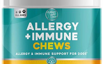 Ready Pet Go! Allergy Immune Supplement for Dogs with Itch Relief & Allergy Relief – Omega 3 for Dogs + Probiotics for Dogs – Hot Spots