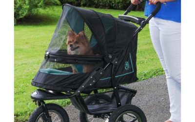 Pet Gear NV NO-Zip PET Stroller, Skyline