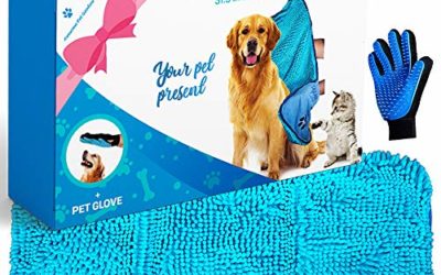 Awesome Pet Goodies Microfibre Dog Drying Towel Chenille, Absorbent Quick Pet Drying, Bundle with Pet Glove for Easy Hair Combing, Machine Washable Pet Bathrobe for Puppy Cats 80x35cm Blue