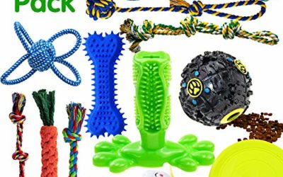 SHARLOVY Dog Chew Toys for Puppies Teething, 14 Pack Dog Rope Toys Tug of War Dog Toy Bundle Toothbrush iq Treat Ball Squeaky Rubber Bone Durable Dog Chew Toys for Small Dogs Pet Toys Puppy Toys