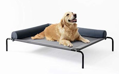 Love's cabin Bolster Elevated Dog Bed, 49in Cooling Pet Dog Beds for Extra Large Medium Small Dogs – Portable Dog Cot for Camping or Beach, Durable Summer Frame with Breathable Mesh and Removable Sofa