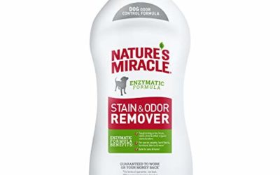 Nature's Miracle Stain and Odor Remover Dog 32 Ounces, Odor Control Formula, Pour