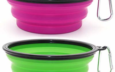 SLSON Collapsible Dog Bowl, 2 Pack Collapsible Dog Water Bowls for Cats Dogs, Portable Pet Feeding Watering Dish for Walking Parking Traveling with 2 Carabiners (Large, Green+Purple)
