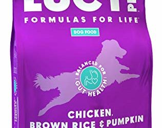 Lucy Pet Formulas for Life – Limited Ingredient Diet Dry Dog Food, All Breeds & Life Stages – Chicken, Brown Rice & Pumpkin