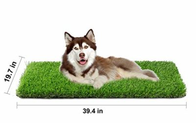 Artificial Grass, Professional Dog Grass Mat, Grass Pee Pad for Pet, Dog Potty Training Rug with Drainage Holes – Easy to Clean, Fake Turf for Indoor & Outdoor Patio Decor