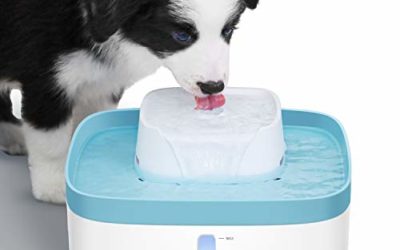 Veken 100oz/3L Pet Fountian, Automatic Cat Water Fountain Dog Water Fountain with LED Lights, 3 Replacement Filters for Cats, Dogs, Multiple Pets (Blue)