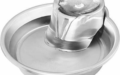 Pioneer Pet Big Max Stainless Steel Drinking Fountain, 128 ounces (Stainless Steel)