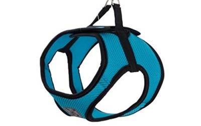 RC Pet Products Cirque Soft Walking Step in Dog Harness, Small, Teal