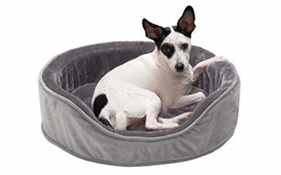 Furhaven Pet Dog Bed – Round Oval Cuddler Plush Faux Fur and Velvet Orthopedic Foam Nest Lounger Pet Bed for Dogs and Cats, Smoke Gray, Medium