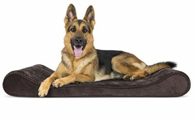 Furhaven Pet Dog Bed – Orthopedic Minky Plush and Velvet Ergonomic Luxe Lounger Cradle Mattress Contour Pet Bed with Removable Cover for Dogs and Cats, Espresso, Jumbo