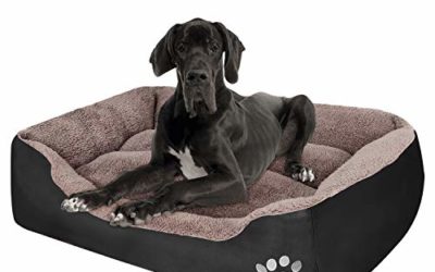 PUPPBUDD Dog Bed for Large Dogs Washable Comfortable Safety Pet Sofa Extra Firm Cotton Breathable for Medium and Small Dog Black