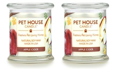 One Fur All – 100% Natural Soy Wax Candle – Pet Odor Eliminator, Up to 60 Hours Burn Time, Non-Toxic, Eco-Friendly Reusable Glass Jar Scented Candles – Apple Cider – Pack of 2