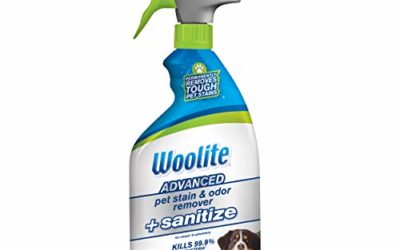 Woolite Advanced Pet Stain & Odor Remover + Sanitize, 11521 (22fl oz)