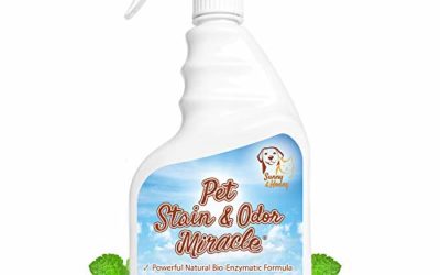 Pet Stain & Odor Miracle – The Best Enzyme Cleaner for Dog Urine Cat Pee Feces Vomit, Enzymatic Solution Cleans Carpet Rug Car Upholstery Couch Mattress Furniture, Natural Eliminator (S/M 32FL OZ)
