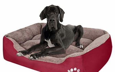 PUPPBUDD Dog Bed for Large Dogs Washable Comfortable Safety Pet Sofa Extra Firm Cotton Breathable for Large Dog and Jumbo Dog RED