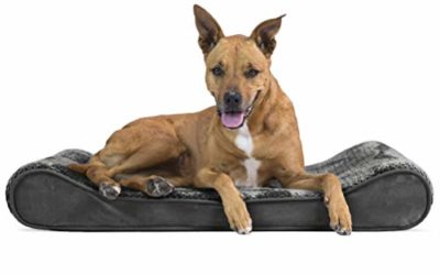 Furhaven Pet Dog Bed – Orthopedic Minky Plush and Velvet Ergonomic Luxe Lounger Cradle Mattress Contour Pet Bed with Removable Cover for Dogs and Cats, Gray, Large