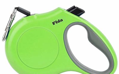 Fida Retractable Dog Leash, 16ft Heavy Duty Pet Walking Leash for Small Dog or Cat up to 26 lbs, Tangle Free. One-Hand Brake (Small, Green)