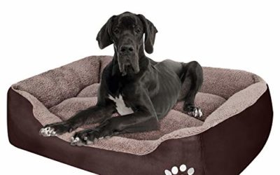 PUPPBUDD Pet Dog Bed for Medium Dogs(XXL-Large for Large Dogs),Dog Bed with Machine Washable Comfortable and Safety for Medium and Large Dogs Or Multiple (XXXL-Jumbo-44''x35''x7'', Brown)
