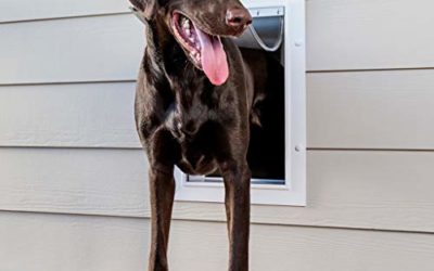 PetSafe Wall Entry Pet Door with Telescoping Tunnel, Large, for Pets Up to 100 Lb., White, Made in the USA