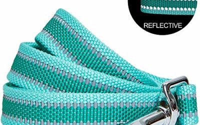 Blueberry Pet Essentials 2020 New Reflective Back to Basics Dog Leash, Minty Green, 5 ft x 3/4", Medium, Leashes for Dogs