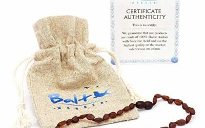 Baltic Wonder Baltic Necklace (Unisex) (Raw Cherry) – Knotted Between Beads